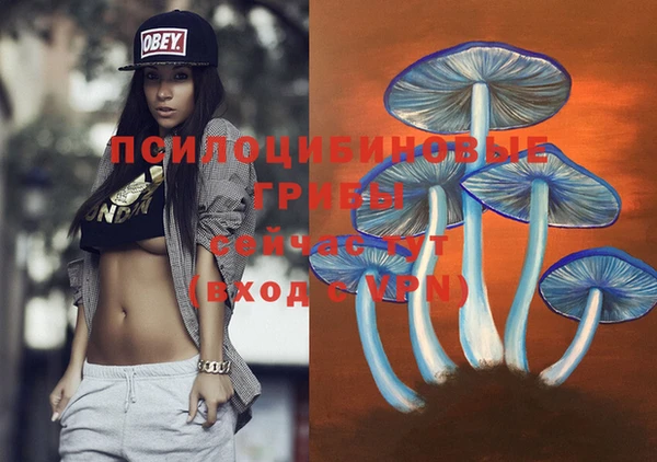 соль ск Богданович