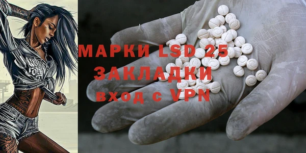 соль ск Богданович