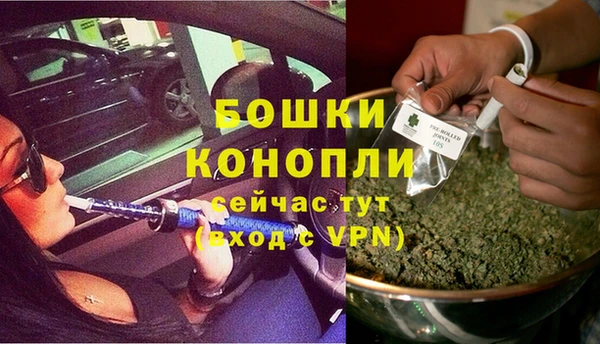 соль ск Богданович