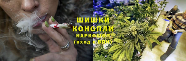 соль ск Богданович